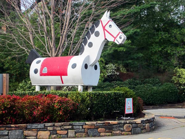 Morris the Horse at Trade and Pacolet